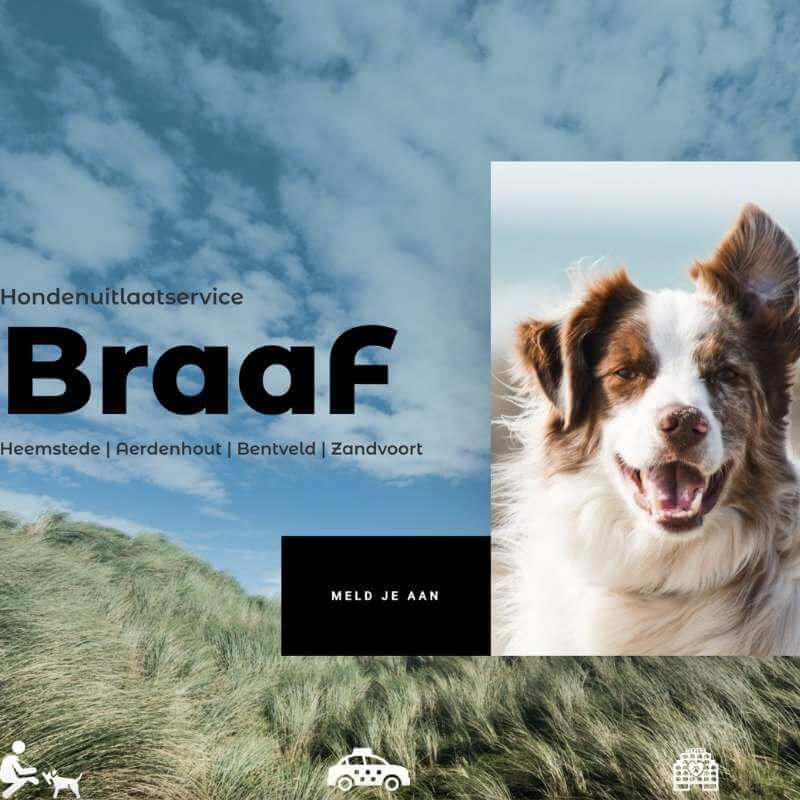 Assistual Webdesign Braaf Zandvoort