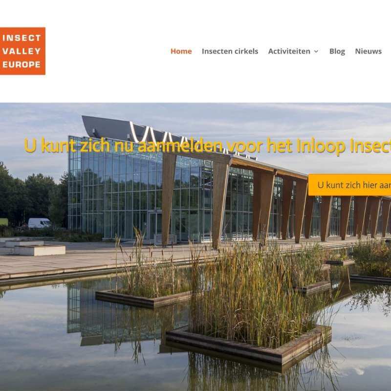 Assistual Webdesign Insect Valley Europe